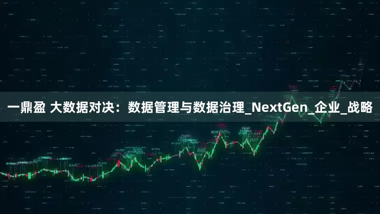 一鼎盈 大数据对决：数据管理与数据治理_NextGen_企业_战略