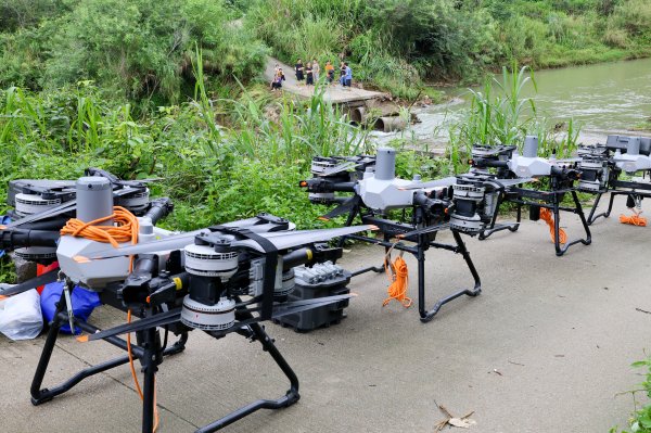 普患配资 七天抢通！从化政企重建“民生桥”如期运出近7万斤荔枝龙眼