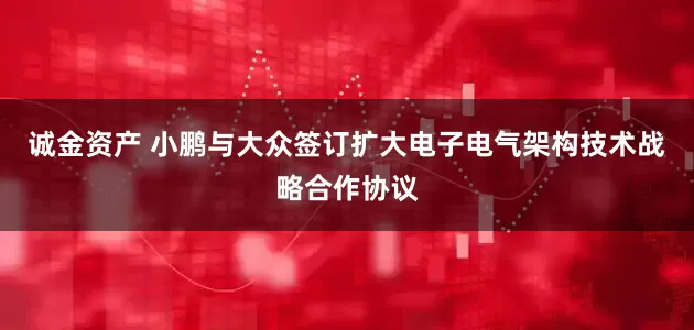 诚金资产 小鹏与大众签订扩大电子电气架构技术战略合作协议